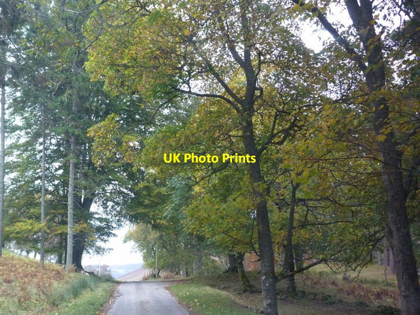 Photo 6"x4" A897 at Torrish Kilphedir c2011