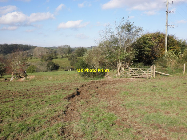 Photo 6"x4" Grazing land, Southcott Farm Bratton Fleming c2011