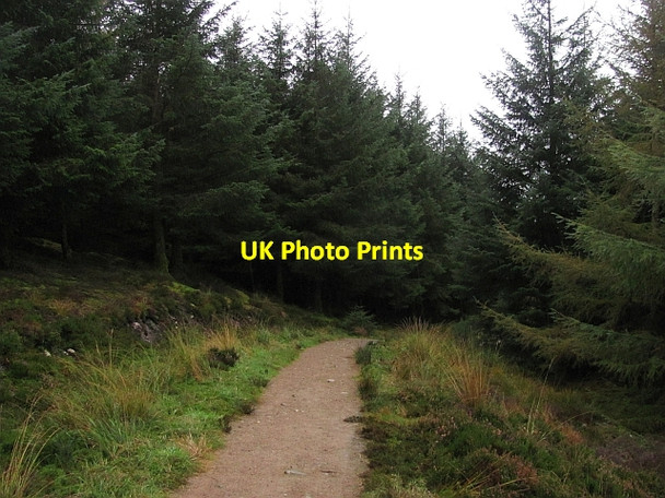 Photo 6"x4" New path to the King's Cave Tormore\/NR8932 c2011