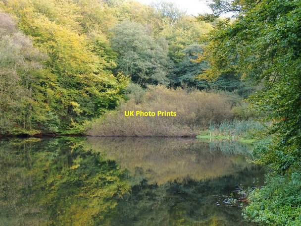 Photo 6"x4" The pond at Friday Street, in October (5) Friday Street\/TQ1245 c2011
