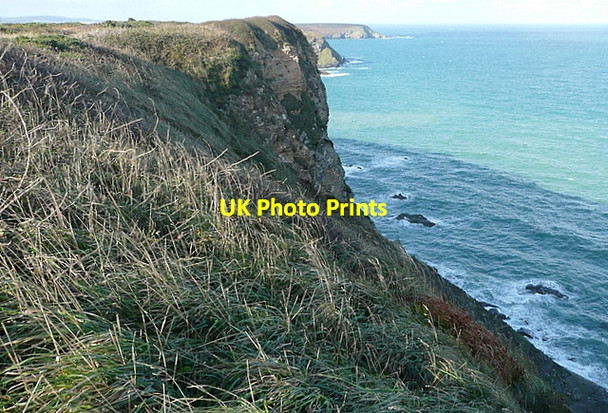 Photo 6"x4" North Cliffs Coombe\/SW6242 c2011
