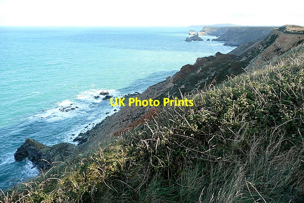 Photo 6"x4" North Cliffs Coombe\/SW6242 c2011