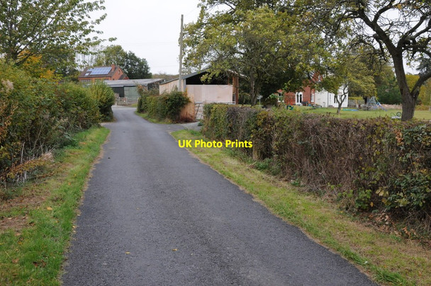 Photo 6"x4" Road at Putley Green Birchall\/SO6538 c2011