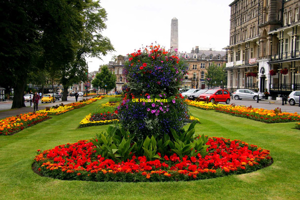 Photo 6"x4" Flowerbed in West Park Harrogate c2011