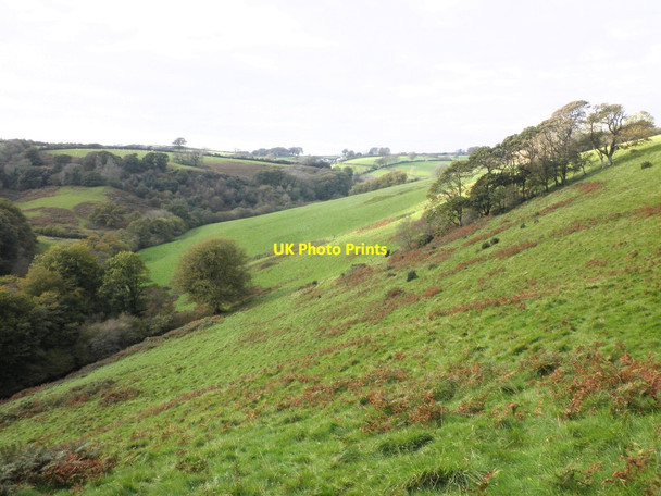Photo 6"x4" Looking towards Brinscombe Knightacott\/SS6439 c2011