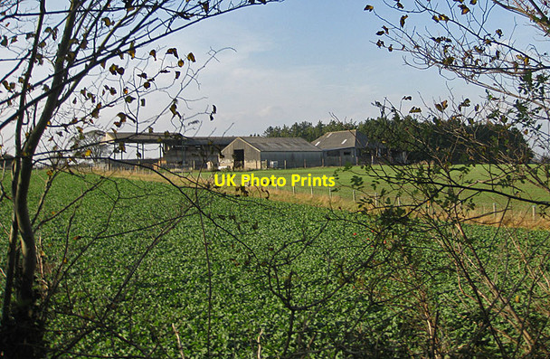 Photo 6"x4" Plantation Farm Malton\/SE7871 c2011