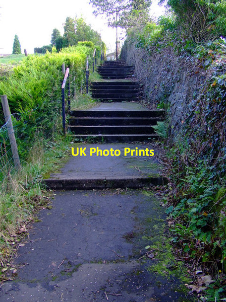 Photo 6"x4" Footpath off Finnockbog Road Inverkip c2011
