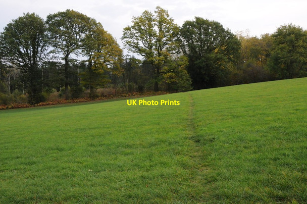 Photo 6"x4" Footpath into Commander's Wood Putley Common c2011