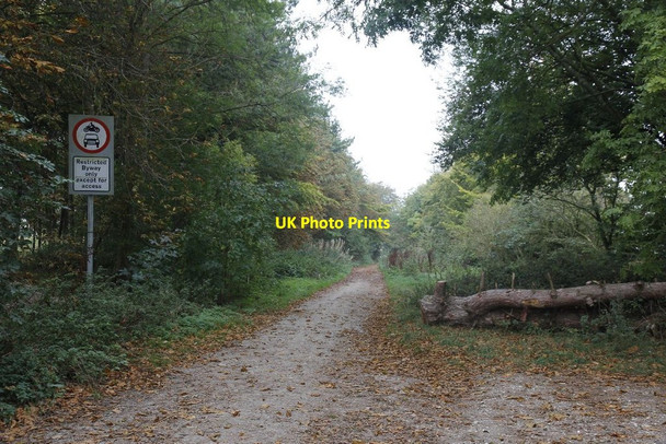 Photo 6"x4" Ridgeway towards Wantage East Ginge c2011