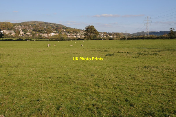 Photo 6"x4" Meadowland in the Avon valley Bathampton c2011