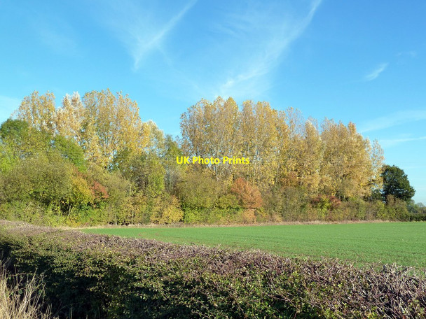 Photo 6"x4" Small wood near Ambaston Ambaston c2011