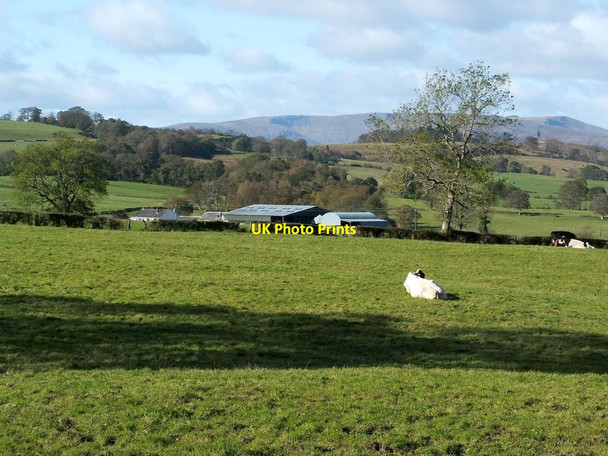 Photo 6"x4" Blairennich Farm Gartocharn c2011