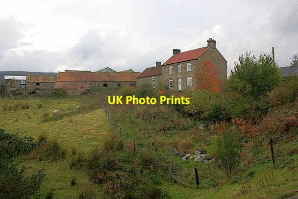 Photo 6"x4" Esk House Cockayne c2011