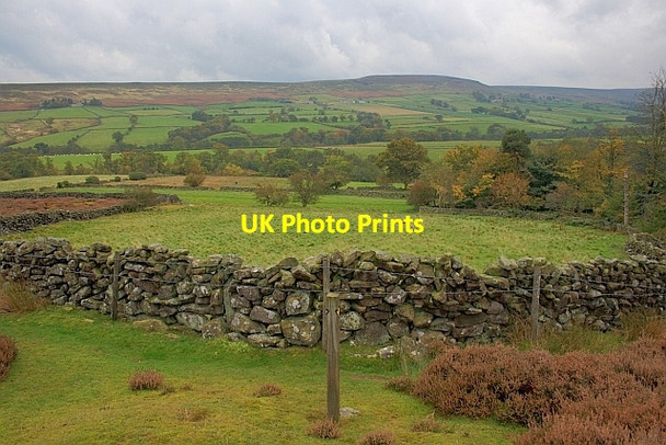 Photo 6"x4" Field in Westerdale Westerdale\/NZ6605 c2011
