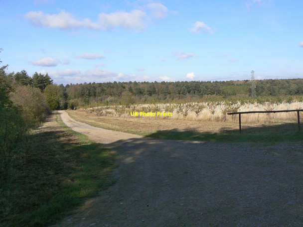 Photo 6"x4" New plantation Clipston\/SK6334 c2011