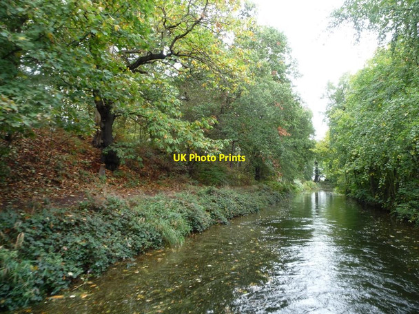 Photo 6"x4" The Chesterfield Canal Ranby\/SK6580 c2011