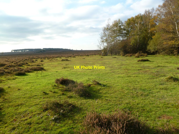 Photo 6"x4" Whitten Bottom, lawn Burley Beacon c2011