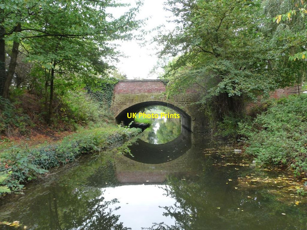 Photo 6"x4" Long Bridge [no 47], Chesterfield Canal Scofton c2011