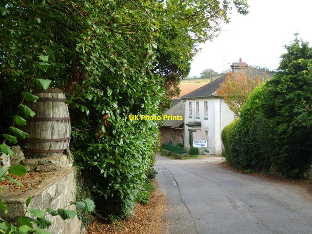 Photo 6"x4" Orange Way in Devon and Torbay (36) Collaton St Mary c2011