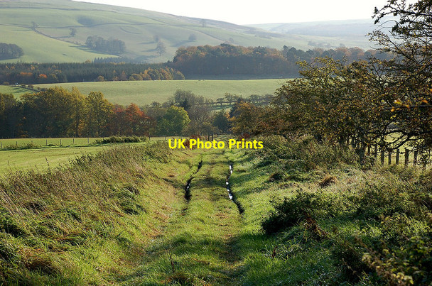 Photo 6"x4" On the Borders Abbeys Way approaching Spital Tower Bedrule c2011