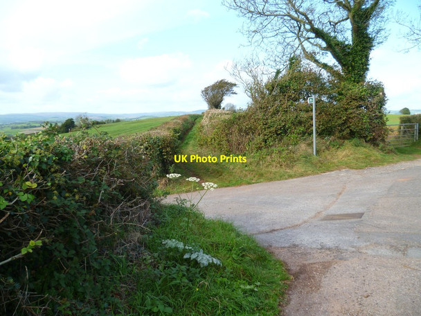 Photo 6"x4" Orange Way in Devon and Torbay (76) Combe Fishacre c2011