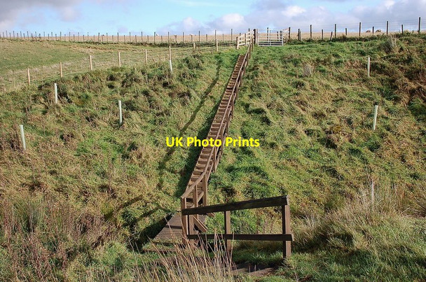 Photo 6"x4" Flight of steps at Merlin Dean Swinnie c2011