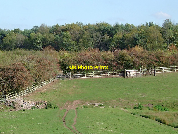 Photo 6"x4" Pasture and woodland near Penkridge, Staffordshire Boscomoor c2011