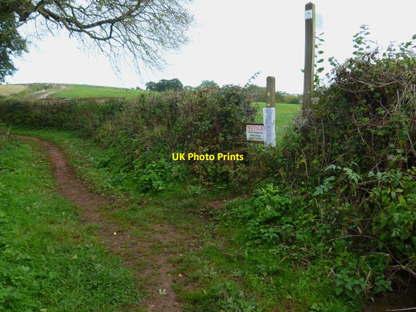 Photo 6"x4" Orange Way in Devon and Torbay (96) Abbotskerswell c2011