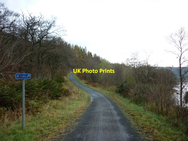 Photo 6"x4" Walking the Rob Roy Way Ardchullarie More c2011