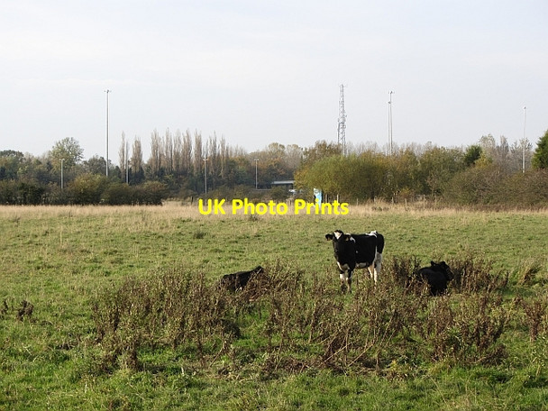 Photo 6"x4" Grassland, Bothwell Bellshill\/NS7259 c2011