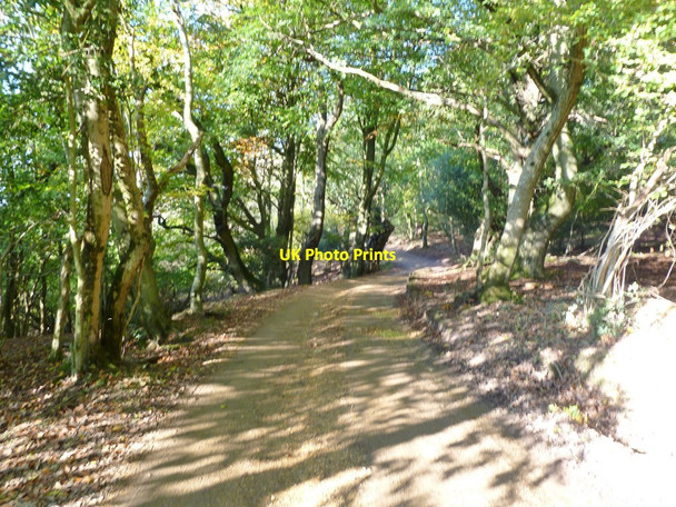 Photo 6"x4" Burley, Castle Hill Lane Burley Beacon c2011
