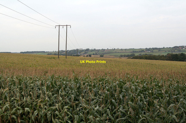 Photo 6"x4" Near Blidworth Dale Blidworth Dale c2011