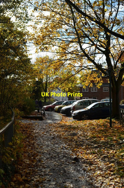 Photo 6"x4" Autumn Views Darley Abbey c2011