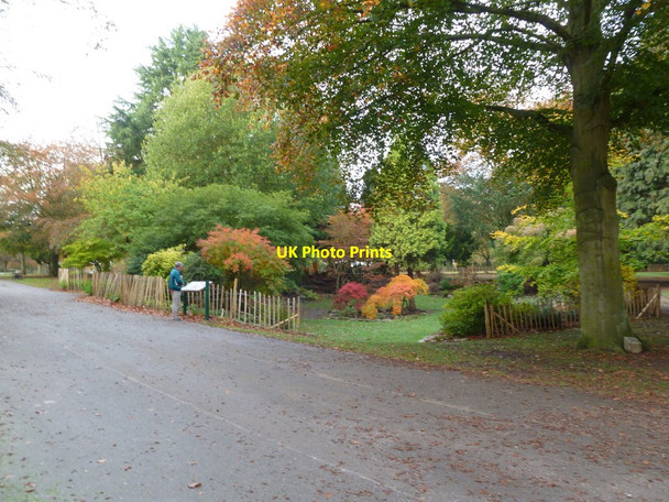 Photo 6"x4" War Memorial Park, rockery Coventry c2011