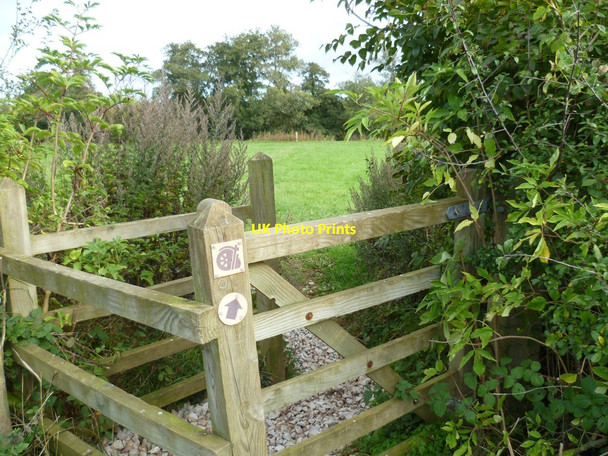 Photo 6"x4" Orange Way in Devon and Torbay (131) Preston\/SX8574 c2011