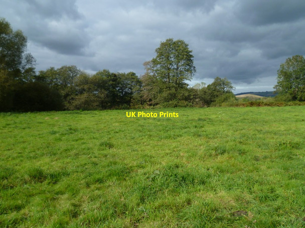 Photo 6"x4" Orange Way in Devon and Torbay (135) Preston\/SX8574 c2011
