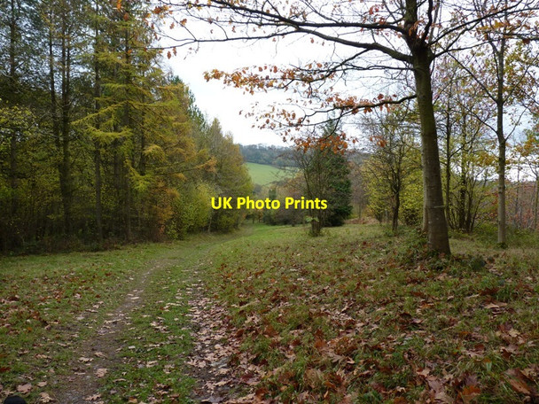 Photo 6"x4" Bridleway down through Speller Coppice Eaton\/SO5090 c2011