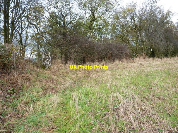 Photo 6"x4" Middlehope Hill trig point Little London\/SO5088 c2011