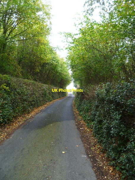 Photo 6"x4" Orange Way in Devon and Torbay (143) Chudleigh Knighton c2011