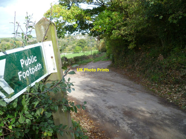 Photo 6"x4" Orange Way in Devon and Torbay (150) Chudleigh c2011