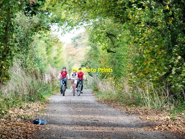 Photo 6"x4" Enjoying the freedom Burcombe\/SU0730 c2011