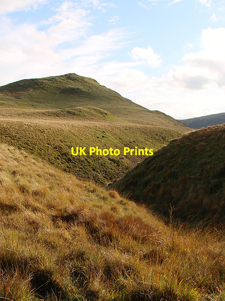 Photo 6"x4" Cwm Nant Dinas Ponterwyd c2011