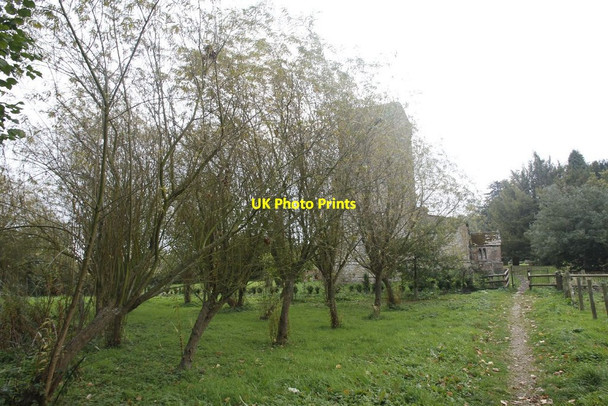 Photo 6"x4" Willows by the Path West Hendred c2011