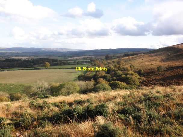 Photo 6"x4" Base of Rodhuish Common Carhampton c2011