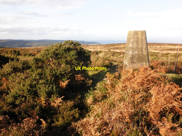 Photo 6"x4" Trig Point, Withycombe Common Churchtown\/SS9738 c2011
