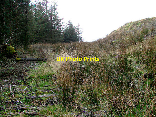 Photo 6"x4" Clear fell above Nant-y-moch dam Nant-y-moch Reservoir c2011