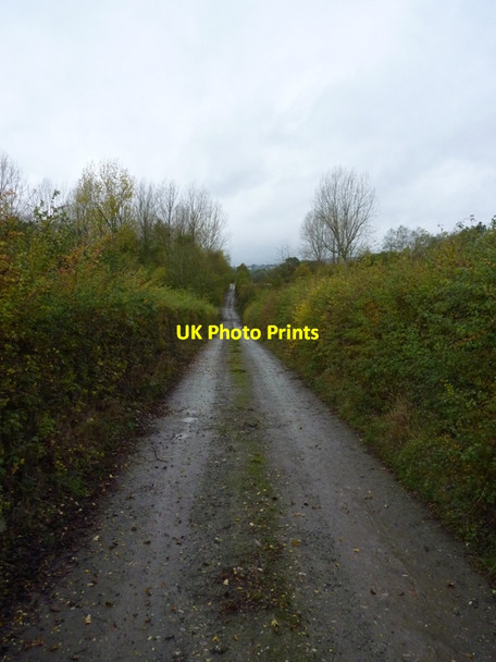 Photo 6"x4" The track from the lane to The Saplings Eaton\/SO5090 c2011