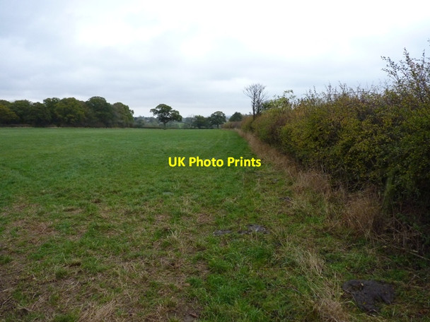 Photo 6"x4" Footpath from The Saplings towards Rushbury Eaton\/SO5090 c2011