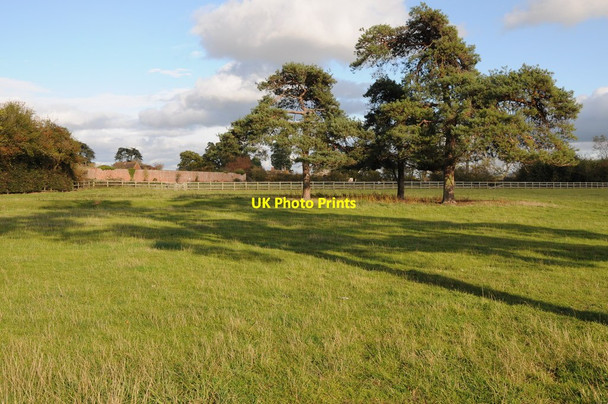 Photo 6"x4" Footpath through a field Holdfast\/SO8537 c2011
