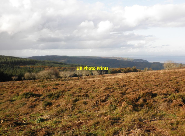 Photo 6"x4" Withycombe Common Churchtown\/SS9738 c2011